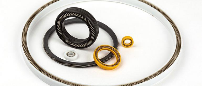 APS Spring-Energized Seals.jpg