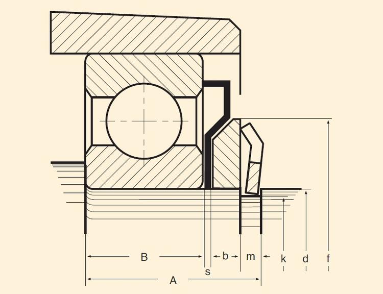 NILOS-Spacer-Ring type A-dig.jpg NILOS-Spacer-Ring type A-dig.jpg