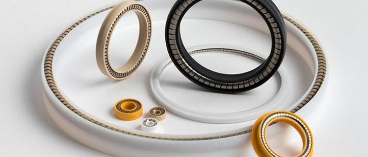 103 Spring-Energized Seals.jpg 103 Spring-Energized Seals.jpg