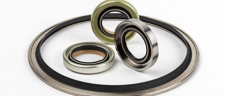 60 Rotary Lip Seals.jpg 60 Rotary Lip Seals.jpg