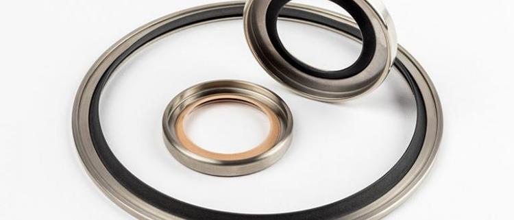 10 Rotary Lip Seals.jpg 10 Rotary Lip Seals.jpg