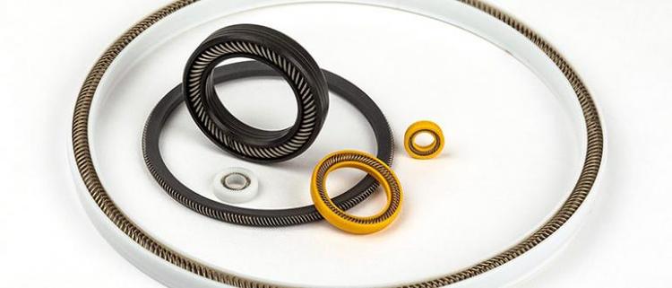 APS Spring-Energized Seals.jpg APS Spring-Energized Seals.jpg