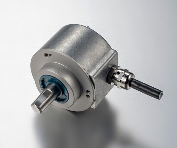 Serie 11.jpg Serie 11.jpg