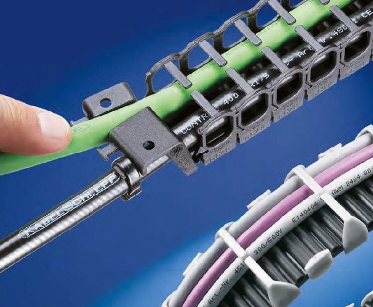 PROTUM.jpg PROTUM.jpg