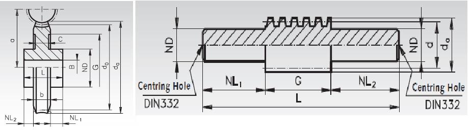 worm and worm gear-dig.jpg