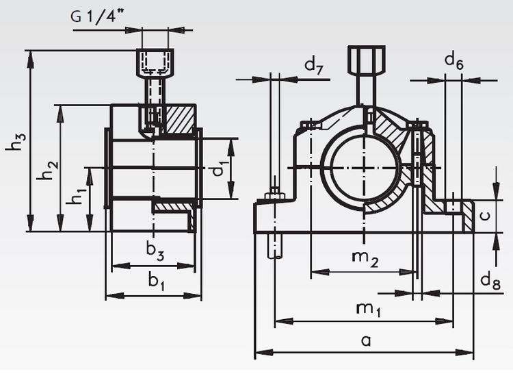 Cap Bearings-dig.jpg Cap Bearings-dig.jpg