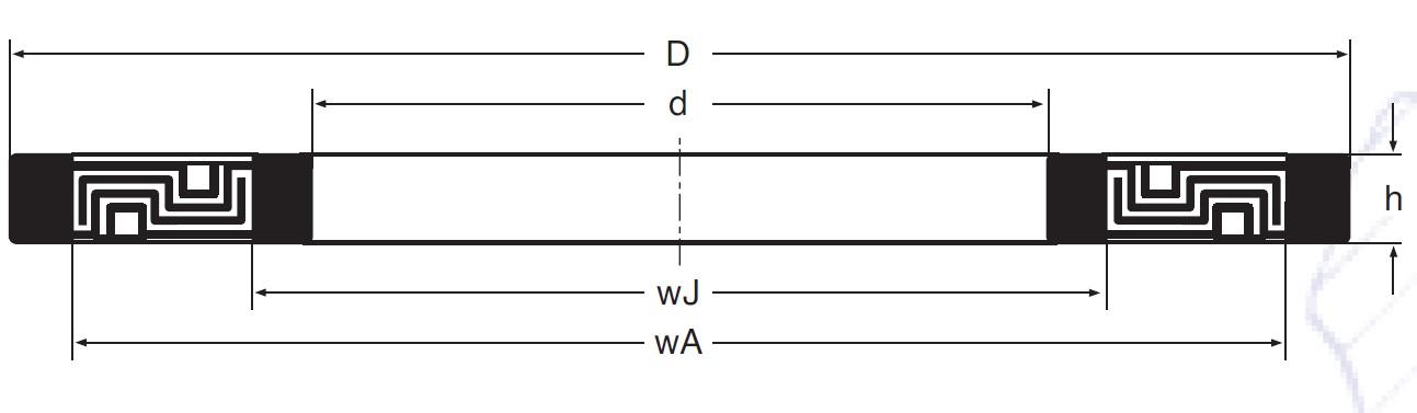 Nilos ring LSTO-dig.jpg