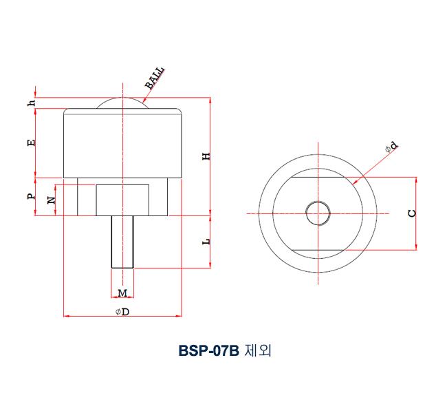BSP Bolt Type (1).jpg BSP Bolt Type (1).jpg