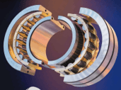 Radial insert ball bearings
